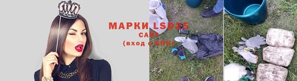 не бодяженный Кукмор