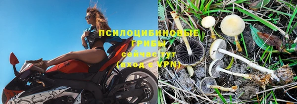 СК Корсаков