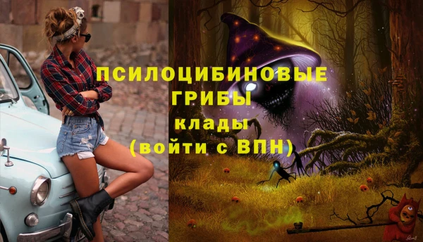 метадон Лагань