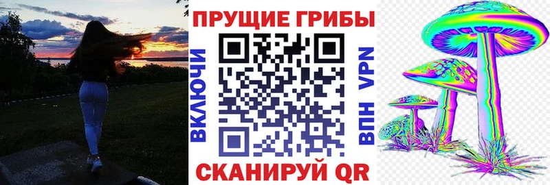 купить закладку  Верещагино  Галлюциногенные грибы Magic Shrooms 